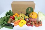 Thriving Online Grocery Business for Sale