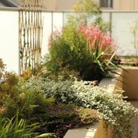 GARDENING BUSINESS FOR SALE - EASTERN SUBURBS/INNER WEST image