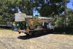 Arborist s Tree Lopping Business