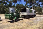 Arborist s Tree Lopping Business