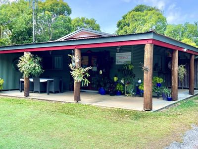 Fantastic Investment return in Tropical FNQ image