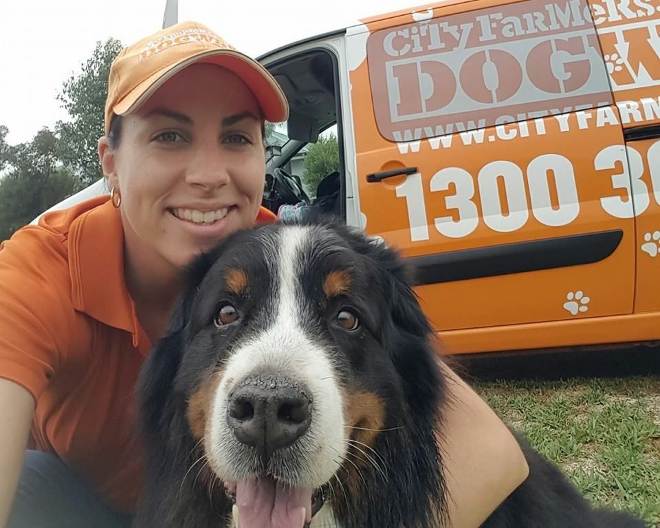 New Petbarn Mobile Dog Wash franchise, photo 2