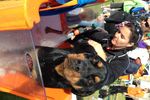 New Petbarn Mobile Dog Wash franchise Geraldton