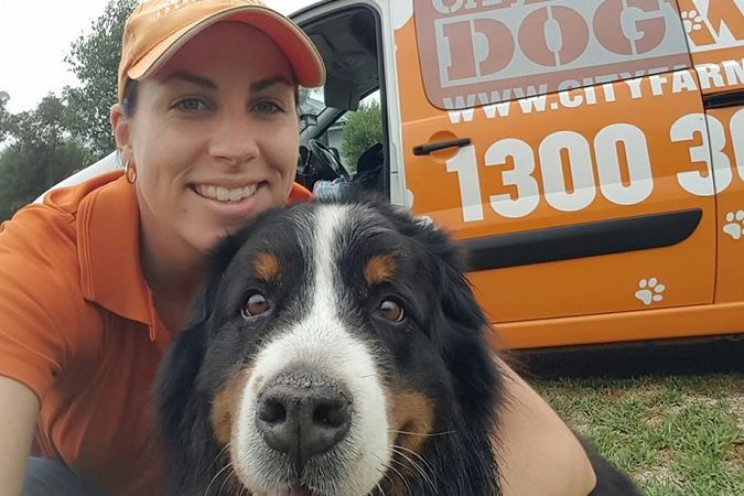 New Petbarn Mobile Dog Wash franchise Geraldton, photo 2