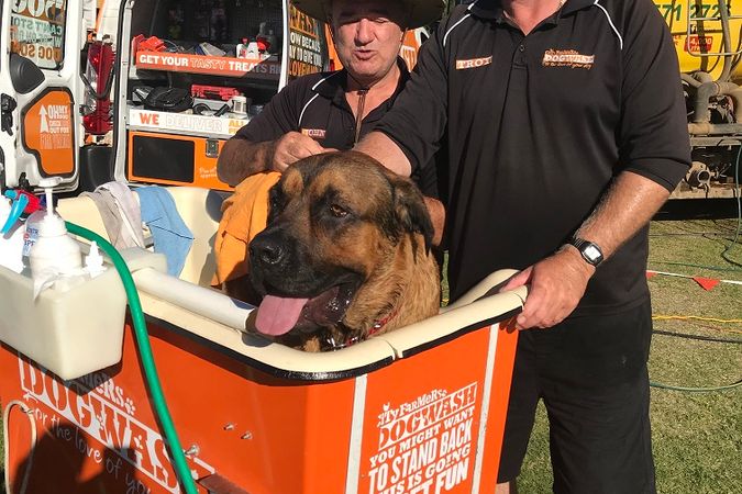 New Petbarn Mobile Dog Wash franchise Geraldton, photo 5