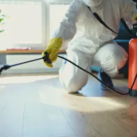 Established Pest Management Business in Renmark, SA image