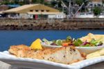 The Ultimate Seafood Business in Ulladulla Harbour 