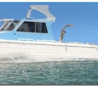 Asset for Sale, from Marine Srvs Business image