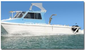 Asset for Sale, from Marine Srvs Business