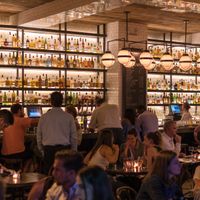 PRIME CBD TAVERN - THE PERFORMER  image
