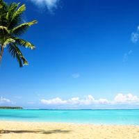 Tropical Island Resort - Huge Price Reduction image