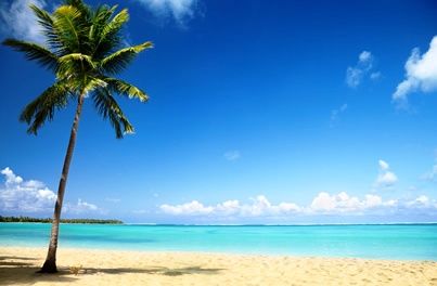 Tropical Island Resort - Huge Price Reduction