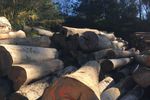 Established Operating Sawmill for Sale