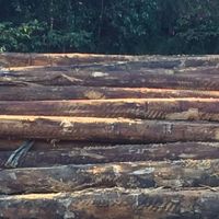 Established Operating Sawmill for Sale image