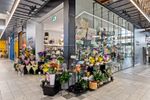 Established Florist & Giftware Business in Prime Location