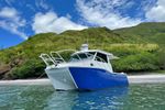 Successful Boat Business For Sale