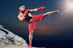 ONLINE MARTIAL ART SUPPLY BUSINESS FOR SALE