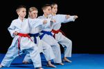 ONLINE MARTIAL ART SUPPLY BUSINESS FOR SALE