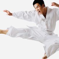 ONLINE MARTIAL ART SUPPLY BUSINESS FOR SALE image