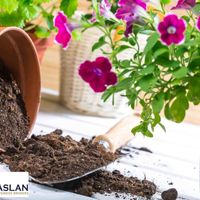 GARDEN SUPPLY & WHOLESALE NURSERY DISTRIBUTION BUSINESS FOR SALE image
