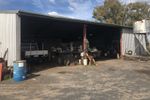 Bundaberg Gem - Rural Living 10 Minutes to the Beach