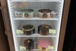 Excellent Opportunity to purchase this great lifestyle Gelatissimo Franchise in ACT