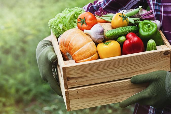 Online Fresh Food Delivery Business Opportunity  Sydney & Central Coast