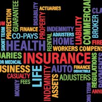 Insurance Book image