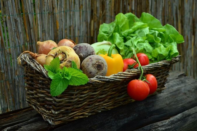 PRICE REDUCED Organic Food Business for Sale - Exciting Opportunity