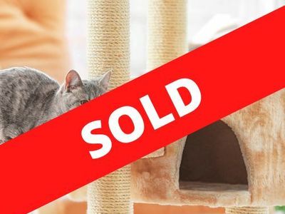 Established Cattery and Cat Retreat - SOLD image