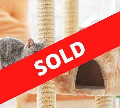 Established Cattery and Cat Retreat - SOLD