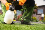 33035 Fully Fitted Lawn Care Business - Reputable & Successful