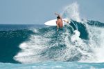 33017 Strongly Established Online Surf Shop - eCommerce Profits