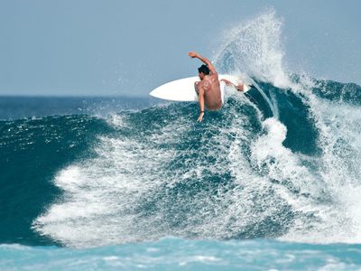 33017 Strongly Established Online Surf Shop - eCommerce Profits image