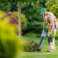 34157 Lucrative Lawn & Garden Maintenance Business - 13+ Years image