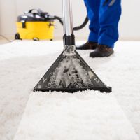 34024 Professional Home Cleaning Business - Renowned Brand image