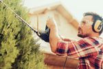 20264 Hedge Trimming Business - REDUCED FOR QUICK SALE