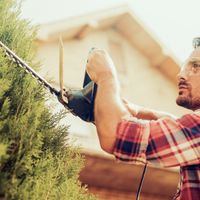 20264 Hedge Trimming Business - REDUCED FOR QUICK SALE image