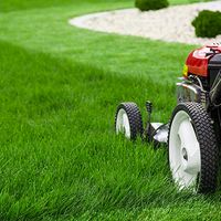 Lawn Mowing and Gardening Business in Seaside Apollo Bay - VIC image