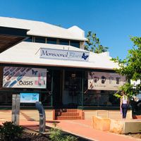 Award-Winning Independent Gifts and Homewares Store - Broome, WA image