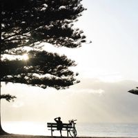 Beachside Cafe in Premium Location – Newport, NSW image