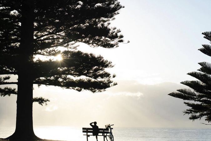 Beachside Cafe in Premium Location – Newport, NSW