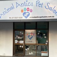 Busy Dog Grooming Salon – Southport, QLD image