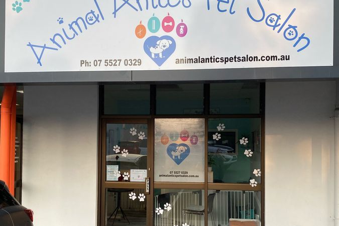 Busy Dog Grooming Salon – Southport, QLD