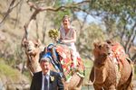 Iconic Camel Ride Tourism Business - Alice Springs, NT