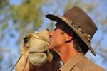 Iconic Camel Ride Tourism Business - Alice Springs, NT