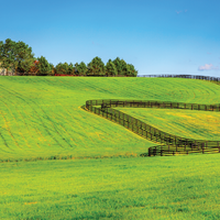 Agricultural Fencing Supplies  Greater Melbourne image