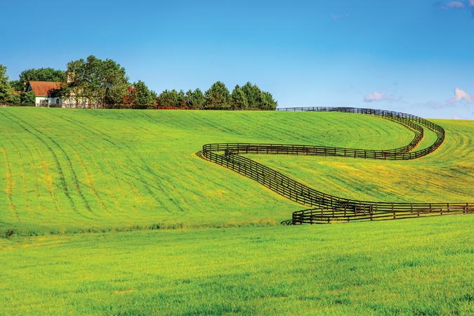 Agricultural Fencing Supplies  Greater Melbourne