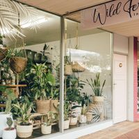 \"WildFern\" Boutique Shop specialising in Greenery, Homewares & Lifestyle pieces image