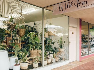 \"WildFern\" Boutique Shop specialising in Greenery, Homewares & Lifestyle pieces image